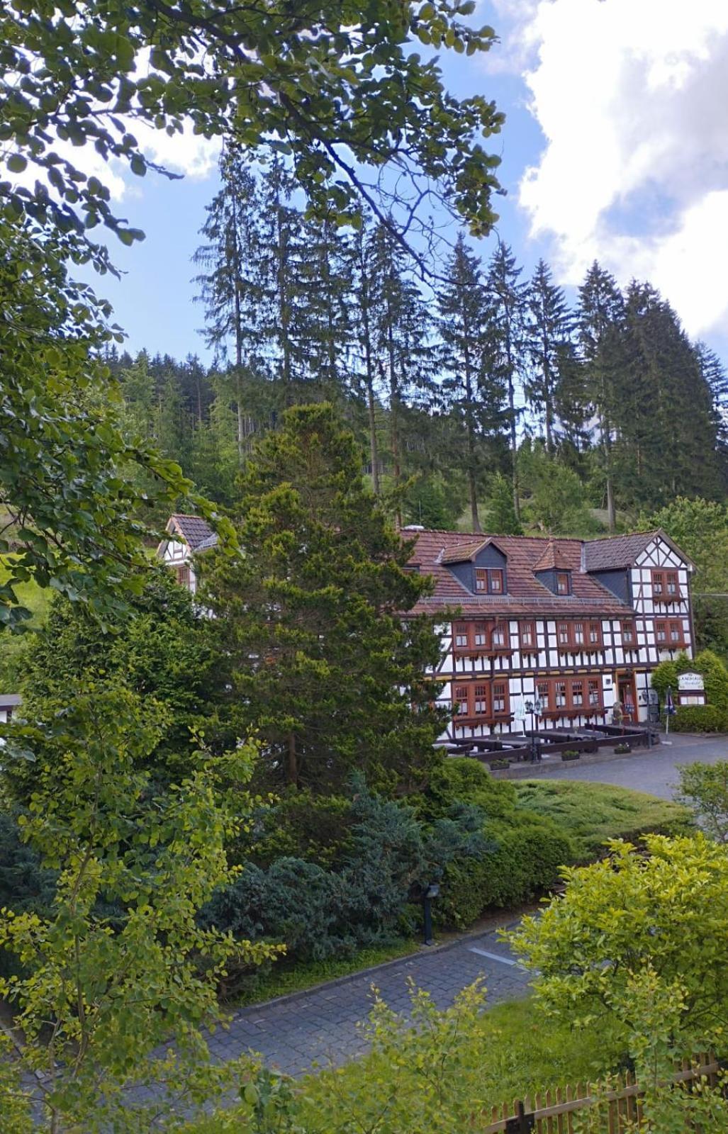 Pension Landhaus Machold Friedrichroda Extérieur photo