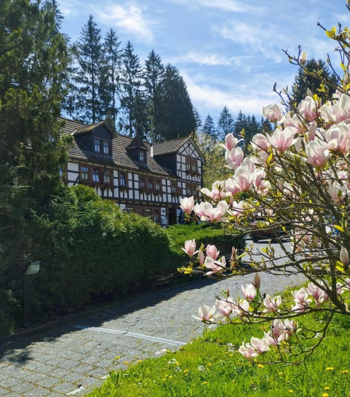 Pension Landhaus Machold Friedrichroda Extérieur photo